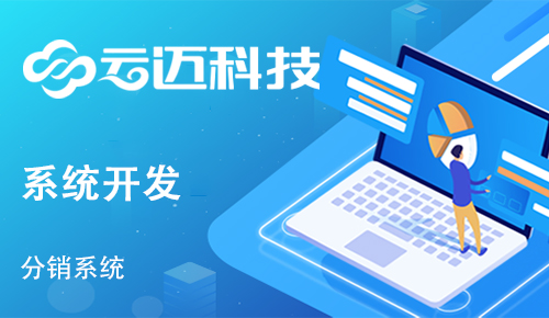 企業(yè)開發(fā)分銷系統(tǒng)有哪些運營優(yōu)勢？